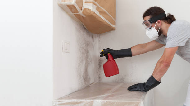 Professional Basement Mold Removal technician working in Boiling Springs, NC