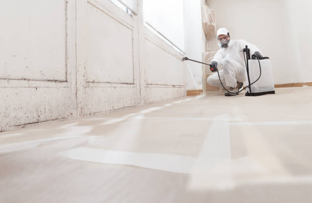 24/7 Emergency Basement Mold Removal experts in Boiling Springs, NC